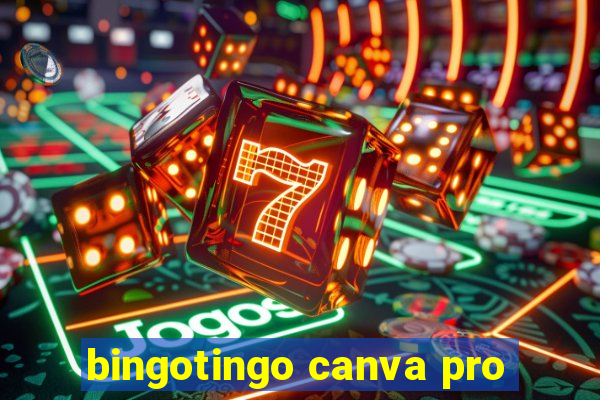 bingotingo canva pro